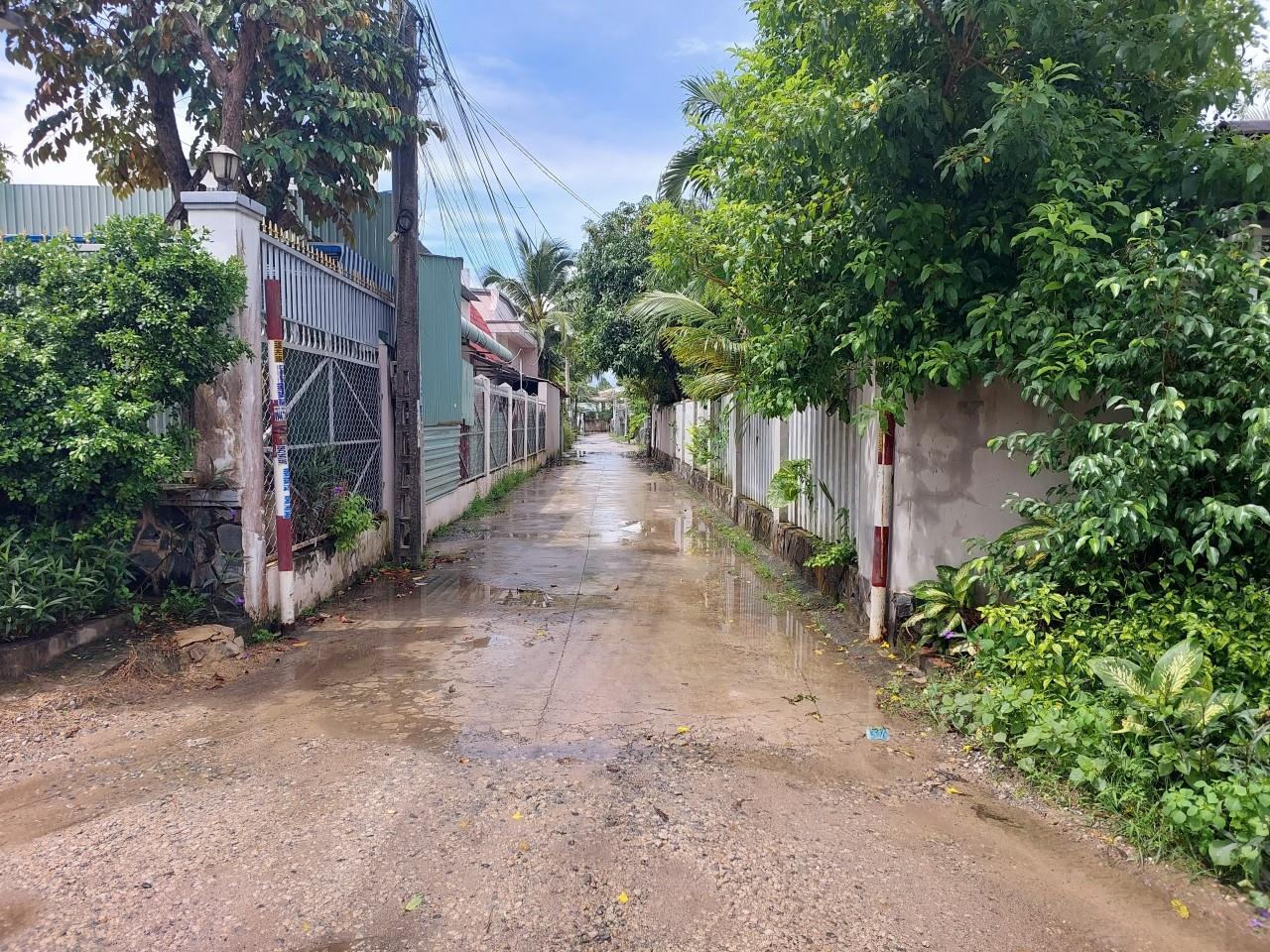 z5517157214360_4ff74def92a81ef8c5d3425cd0477cd9