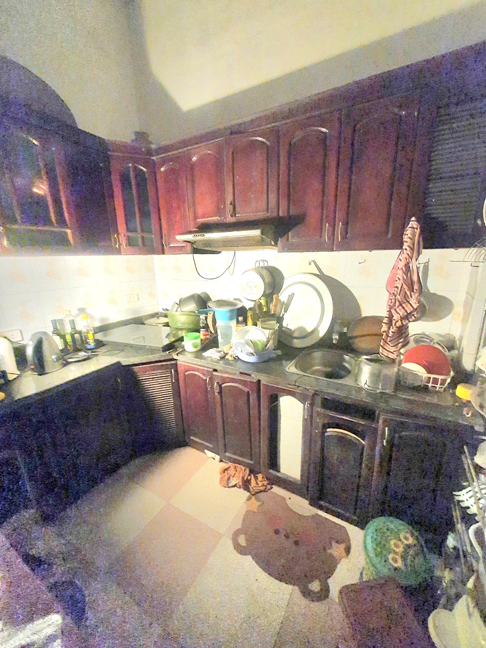 z5518734347761_791d0de23fbf8ba43ef9e70524116187