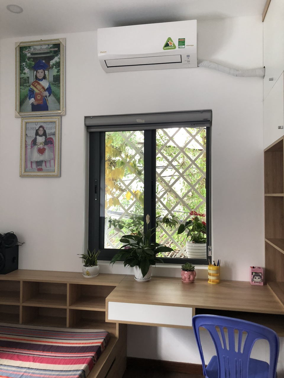 z5519161501008_8b87852a7afc1ee84f3b39eaffc71862