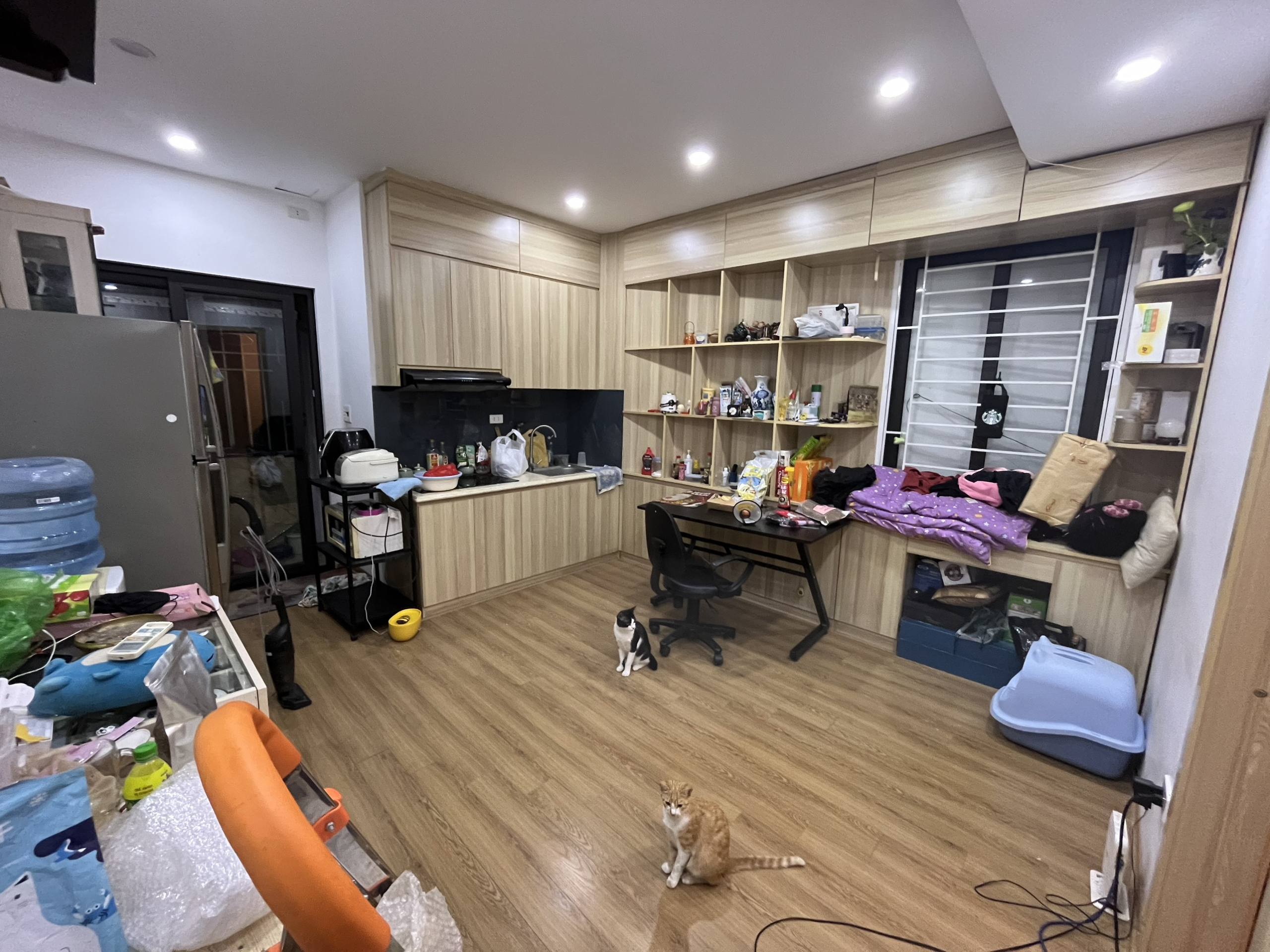 z5519209410255_af13feb6534fdb56428e2d40a8e4a0df