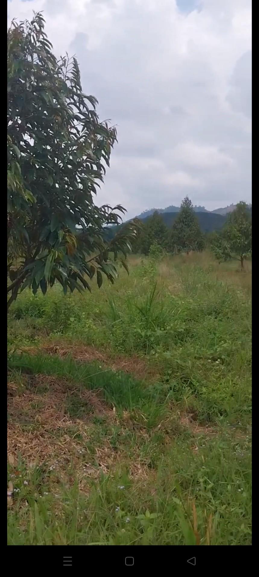 z5521362157310_4f92aa25068e5aa4a2232a09d3504dcc