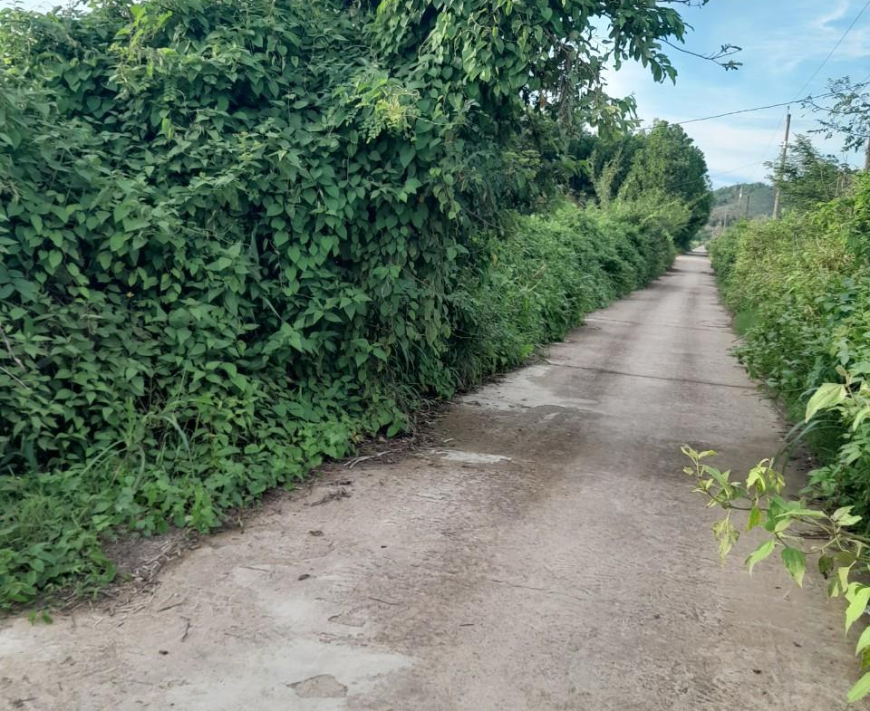 z5521362162909_86ca4e9383f79627c4a1136d96e99e4f