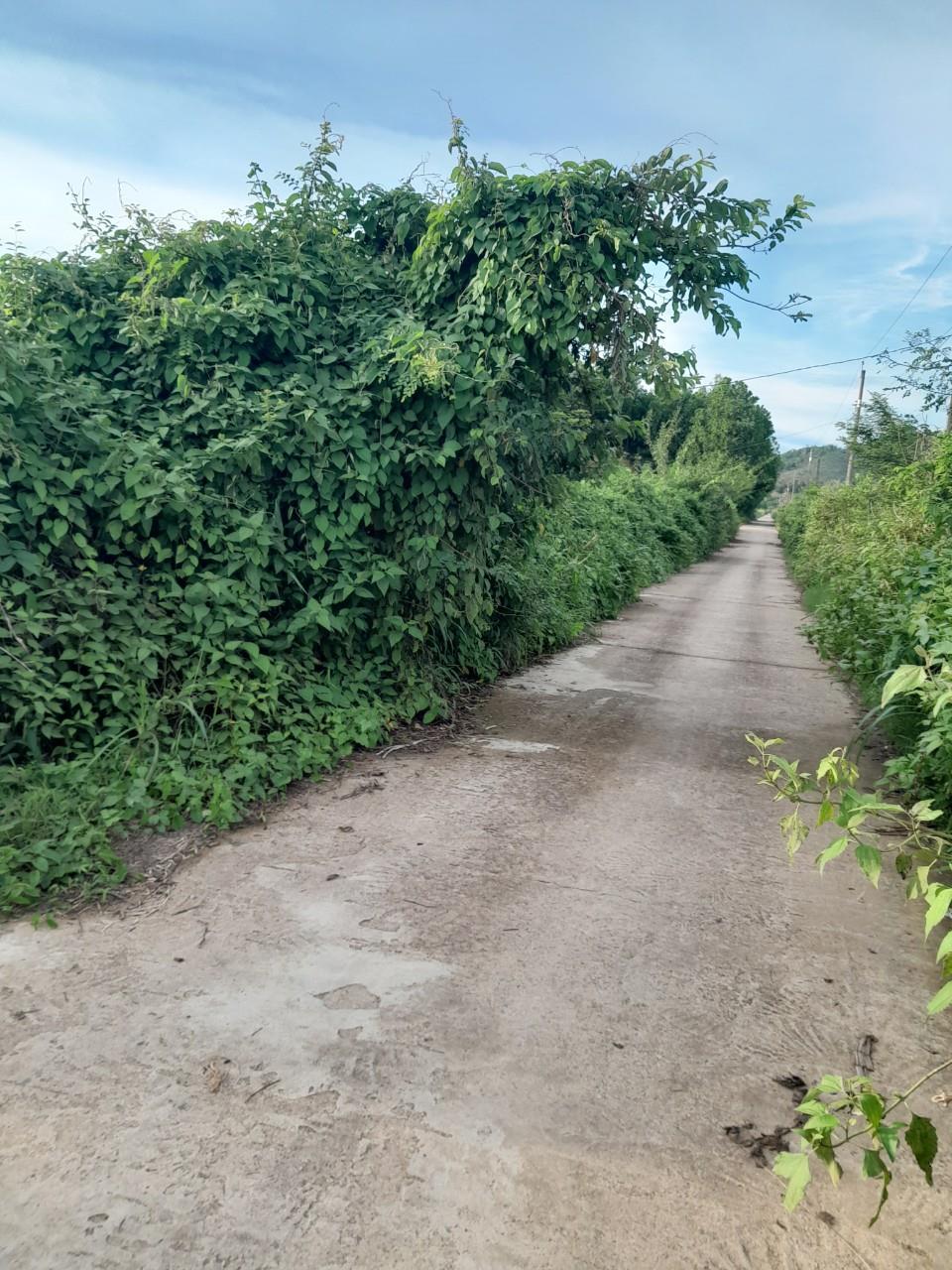 z5521362162909_86ca4e9383f79627c4a1136d96e99e4f