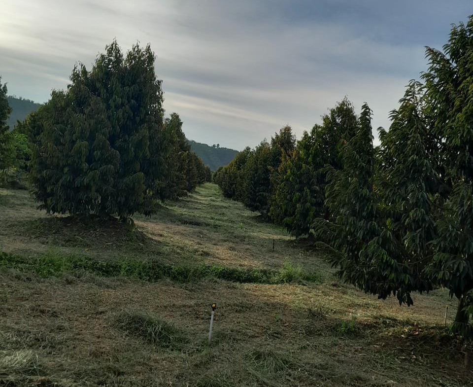 z5521362166744_2c8fc9ffac67c3a83717abeedb550568