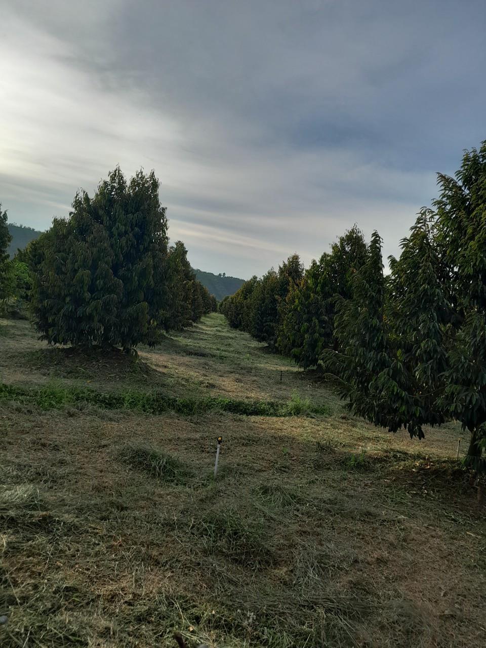 z5521362166744_2c8fc9ffac67c3a83717abeedb550568