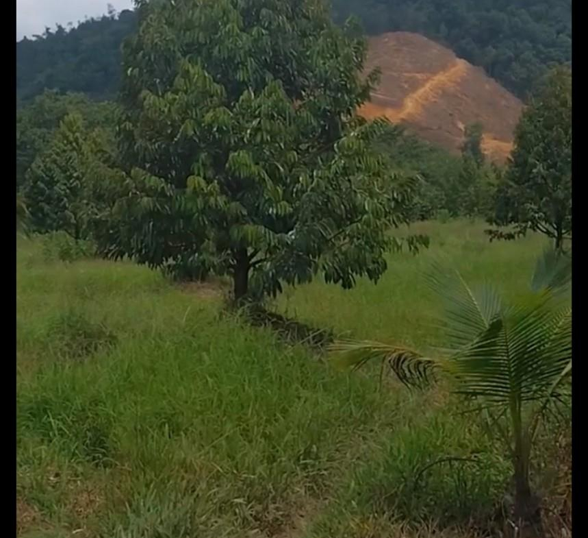 z5521362166758_b002041215518a0fb7e5f53aac0fde63