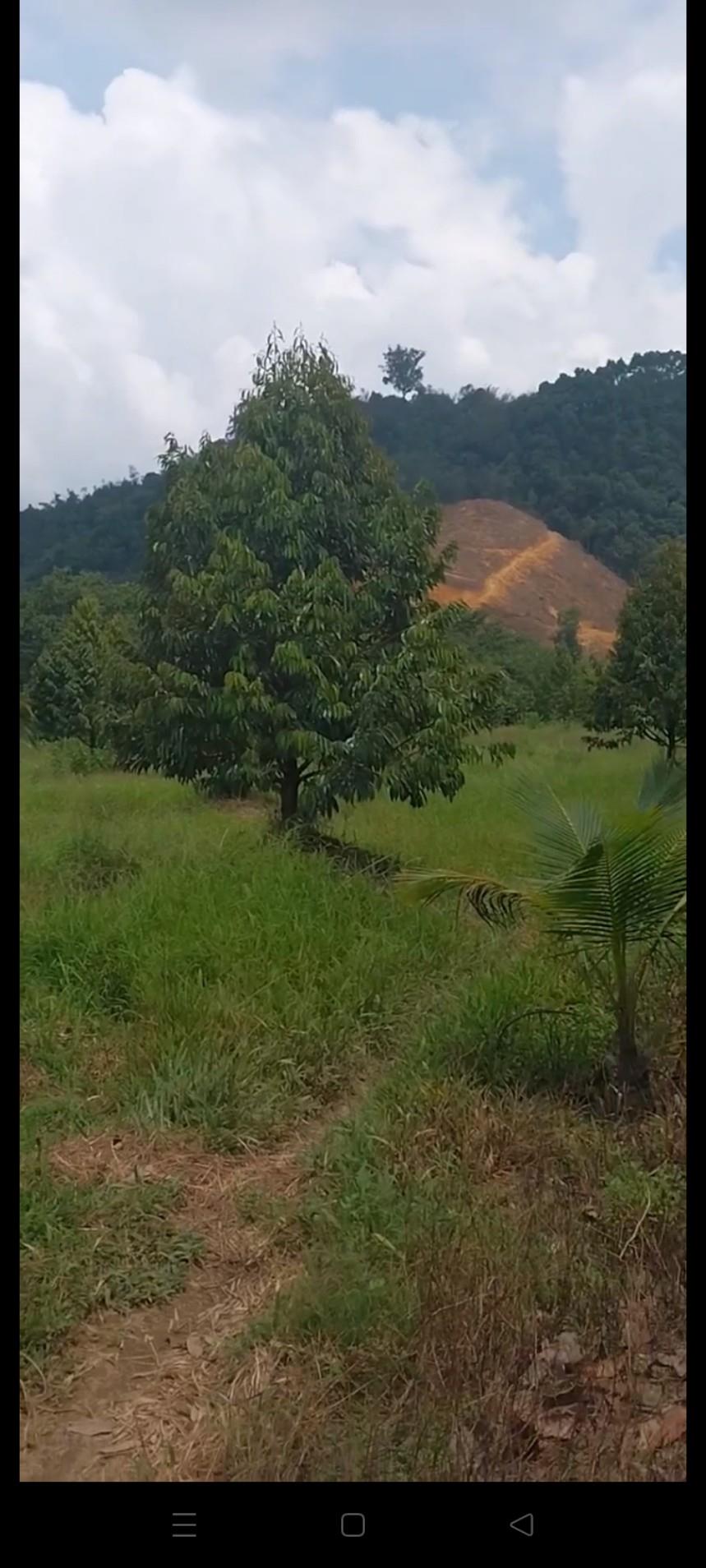 z5521362166758_b002041215518a0fb7e5f53aac0fde63