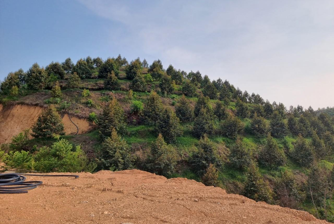 z5521362172834_70488e6409397385cc062e9ddcd20cbb