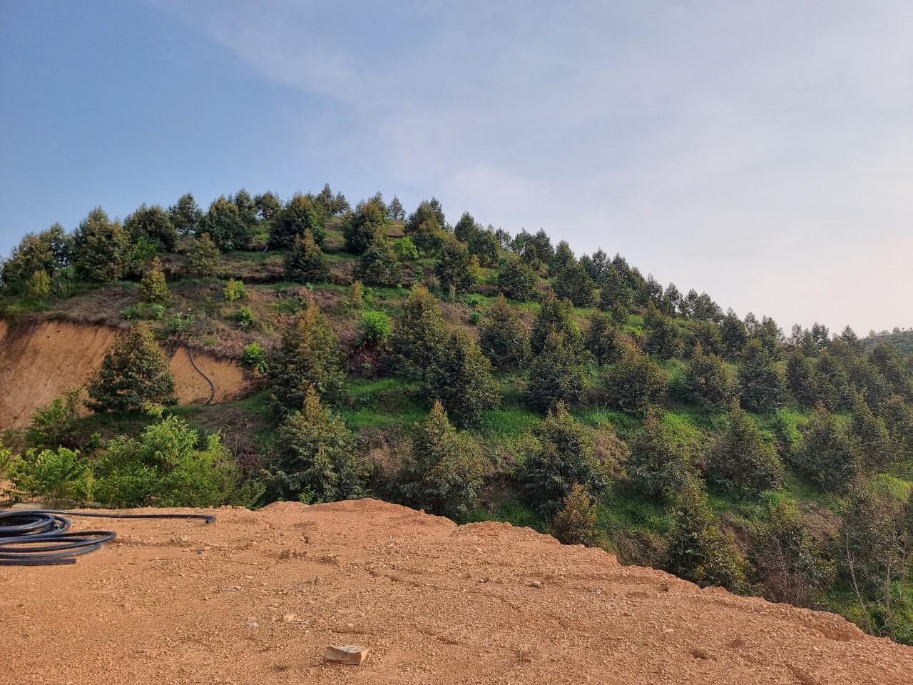 z5521362172834_70488e6409397385cc062e9ddcd20cbb