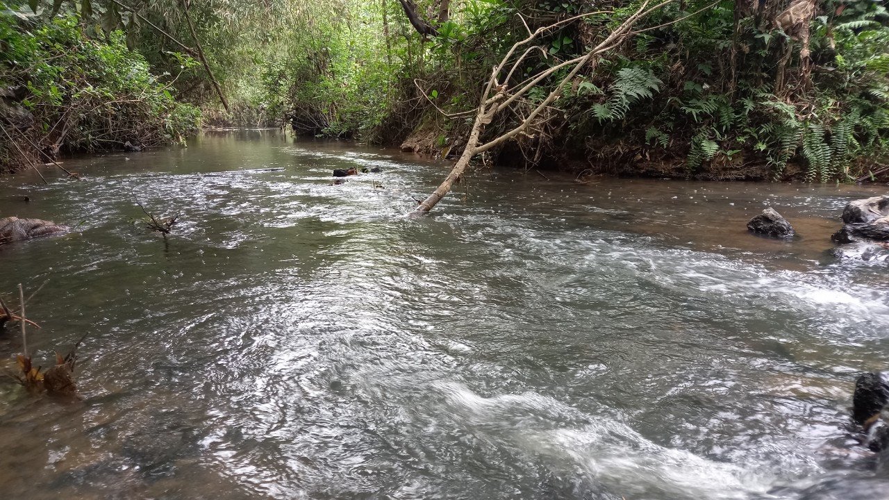 z5525296050899_c9bcbeb566d70a37439cf5487ad0e61e