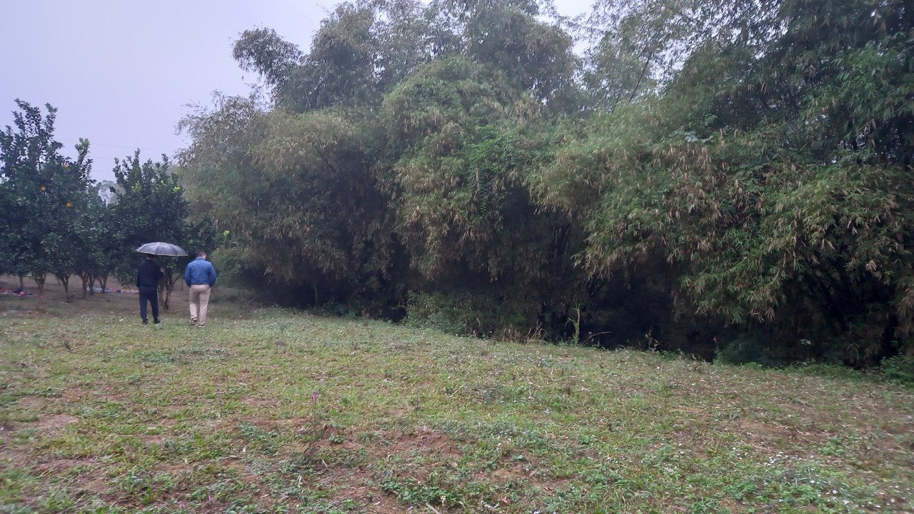 z5525296069798_8ce4b2eedd5d6eaddb9db089dd50ccde