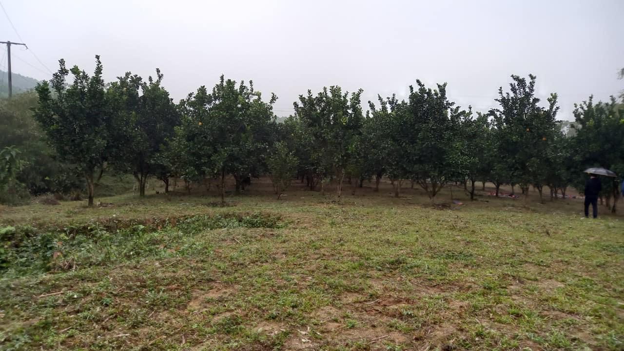 z5525296088134_2a9d7693e41b70e7d07c792513cded41