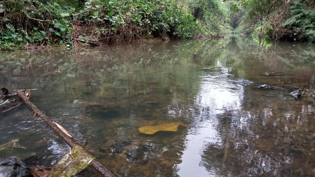 z5525296103553_fa11624277555aba66f6b883aac1acac