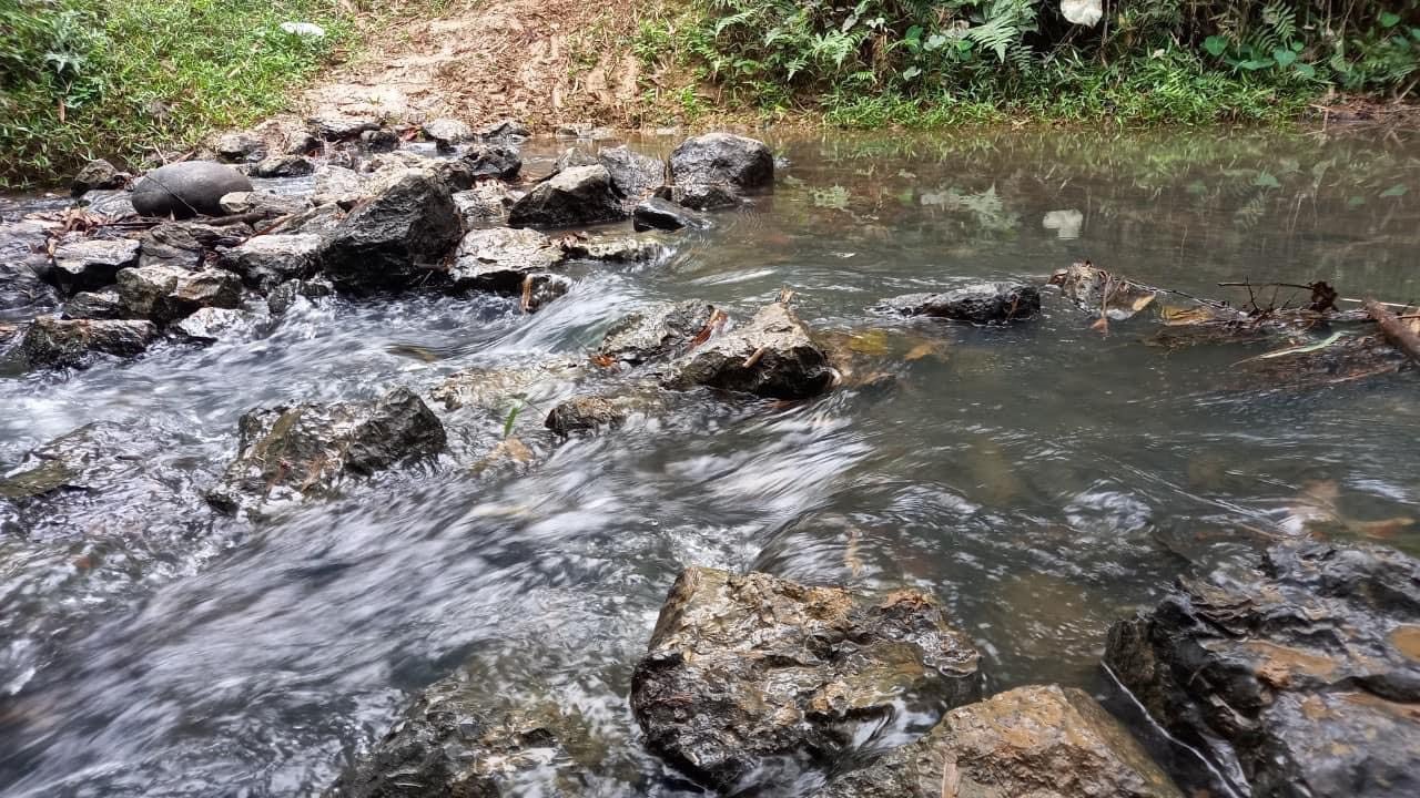 z5525296103761_4d6e8d56fd520b806d7f0acdd14a8ece