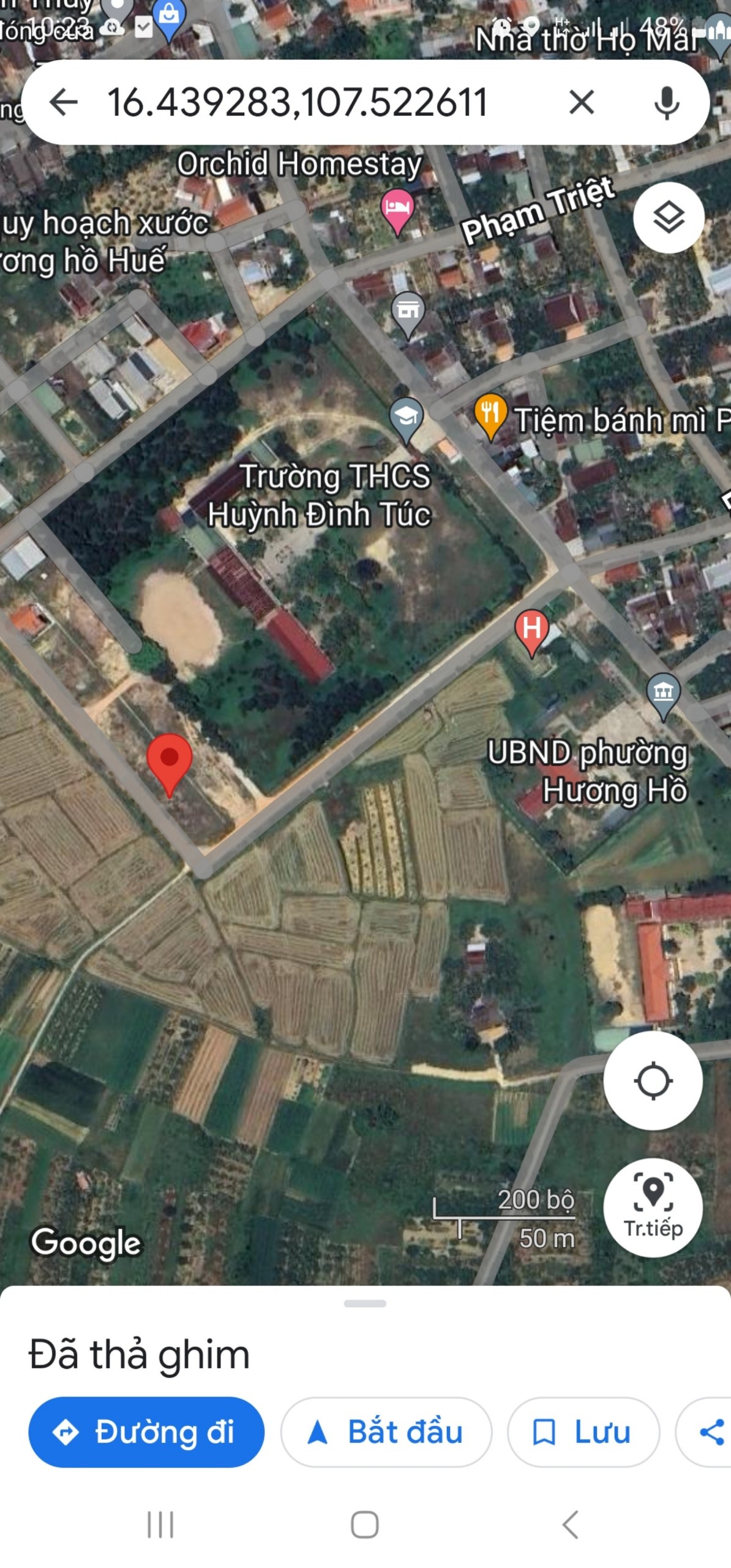 z5525425916197_fe64a7fa2614ab8c5617ddffc20ae8dd