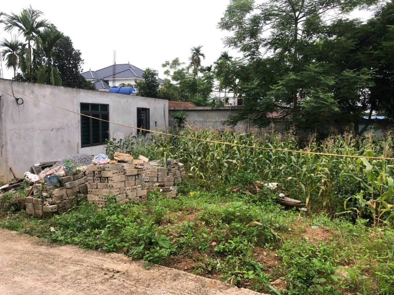 z5525435368938_6c002e593e5724543660dd6b146846aa