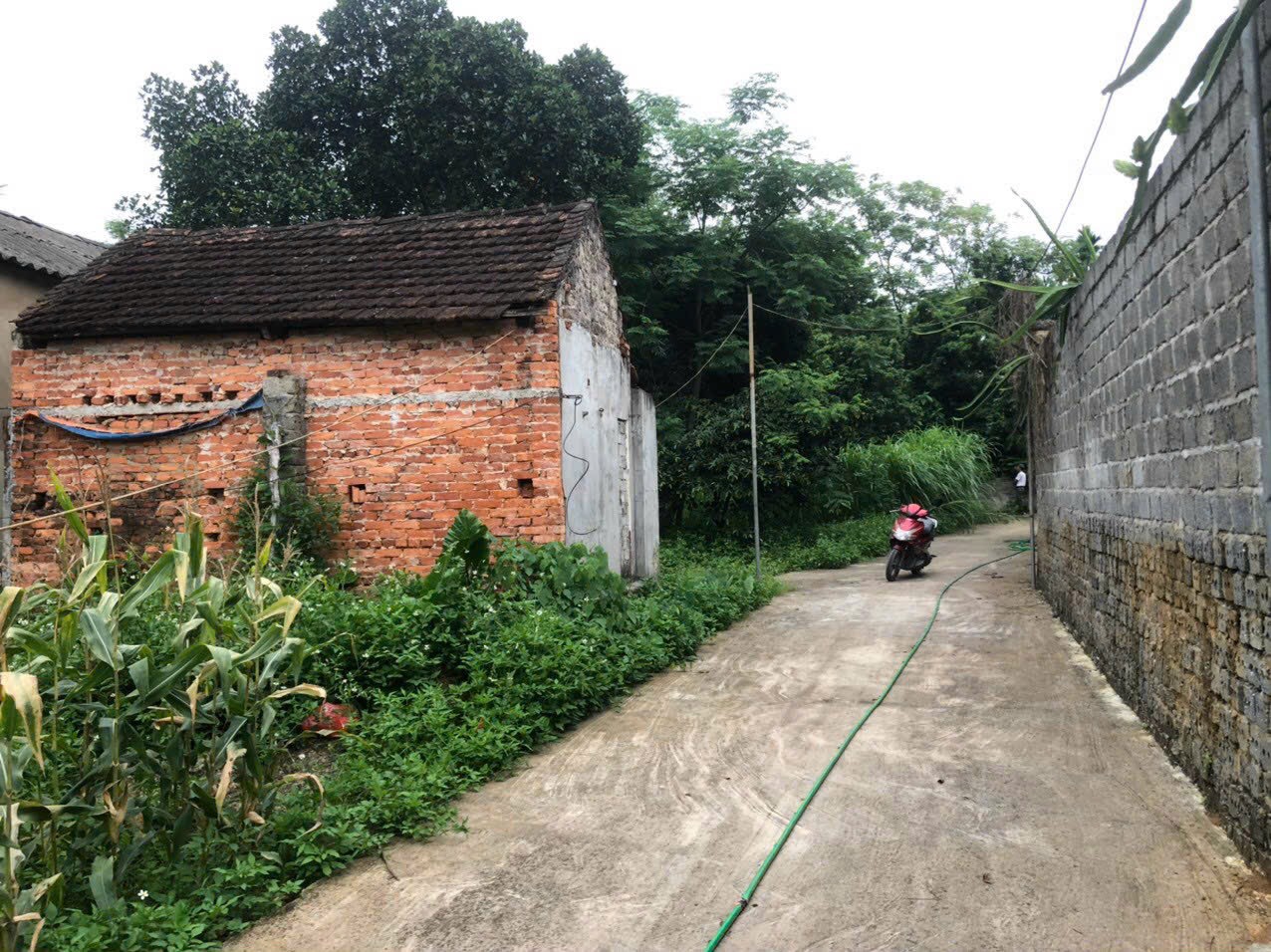 z5525435368947_b4c07a254afd1037c80fb19e8b38508c