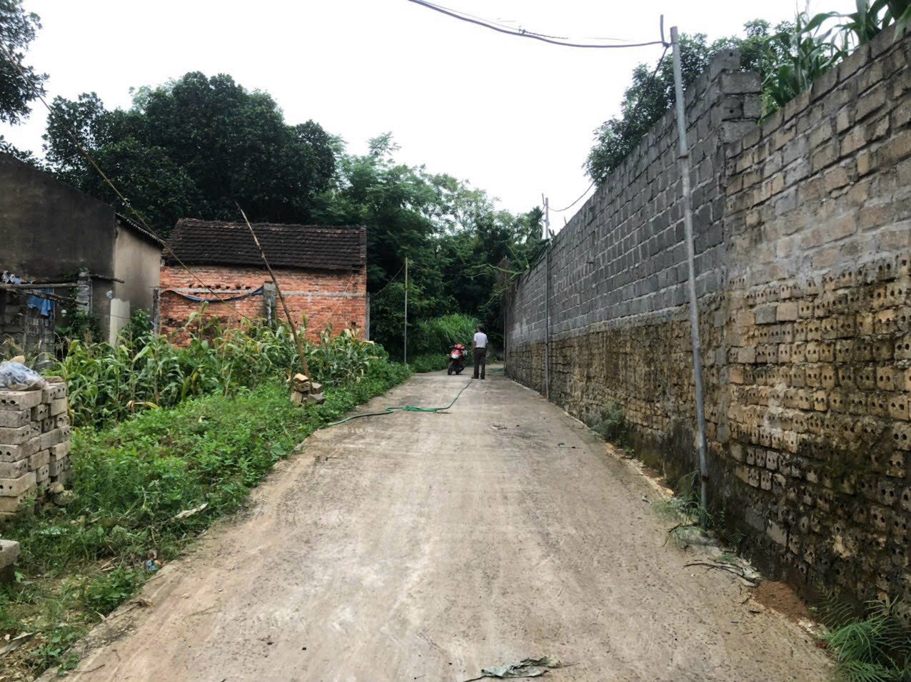 z5525435368957_56a97d3a5ba7f9315d5c0c5124359a93