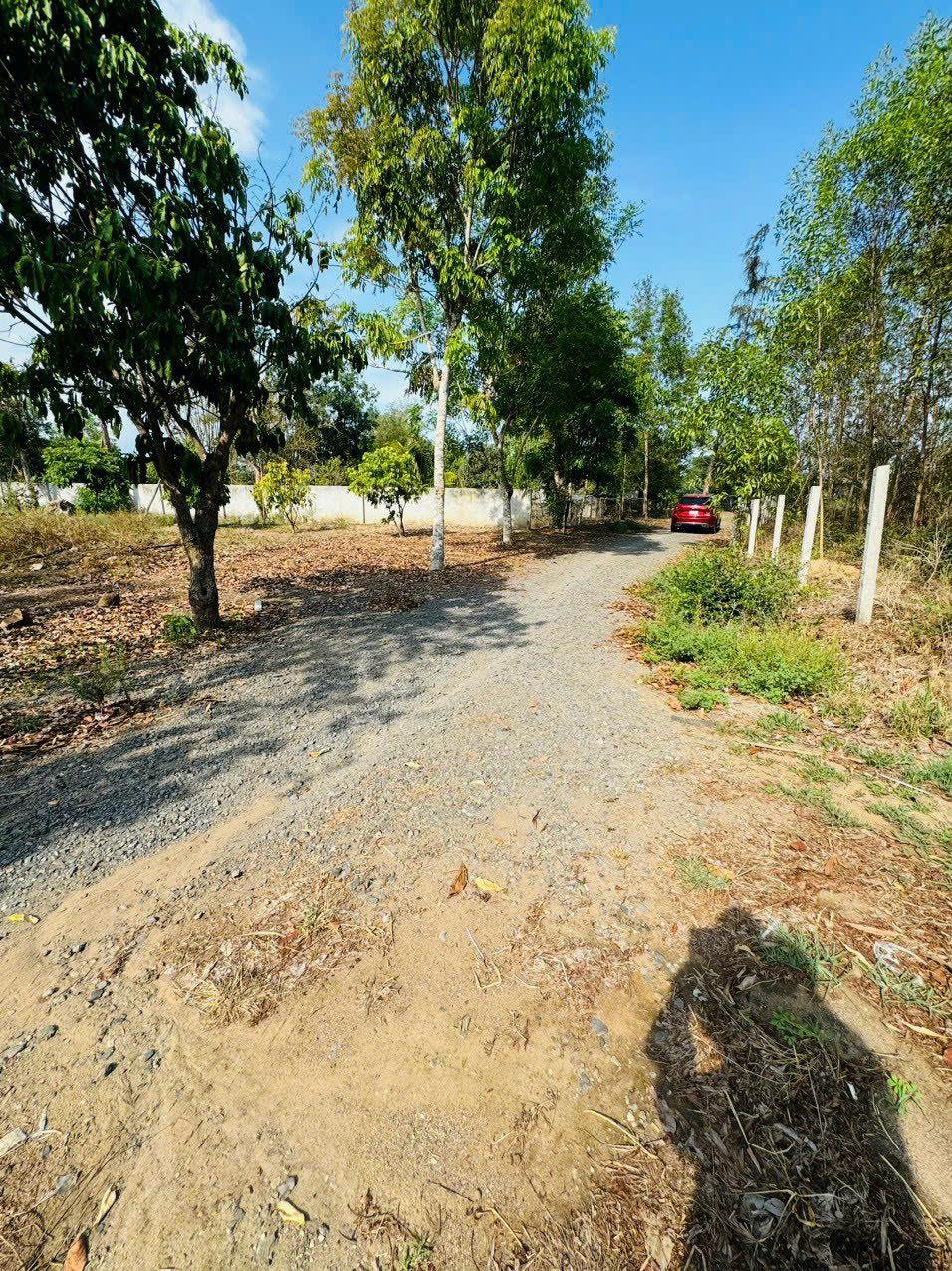 z5526964452581_c3e4cb34c5d034d014e34fd8c84977d1