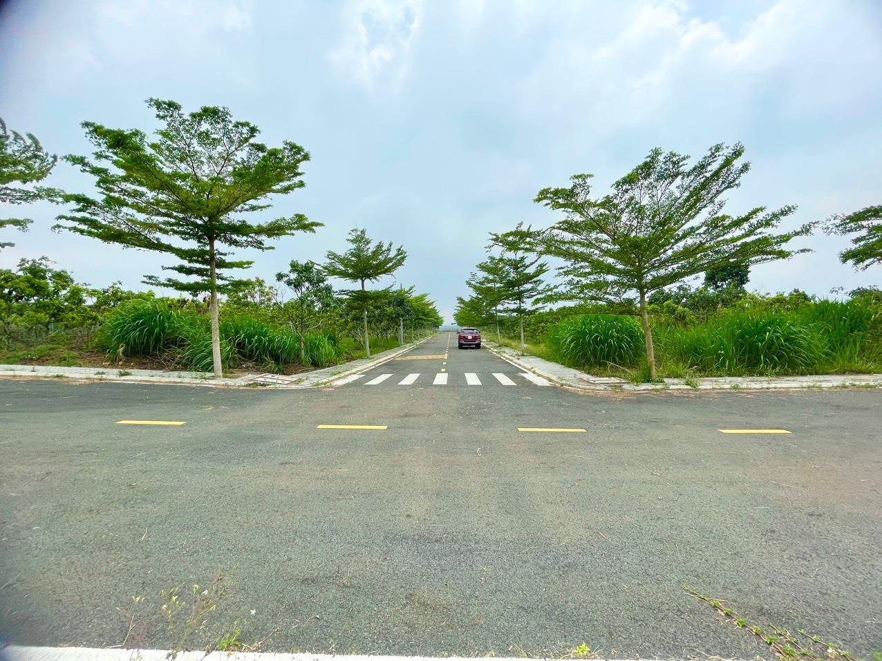 z5528266379951_5fd3b990c58091828f7b62ae957272c4