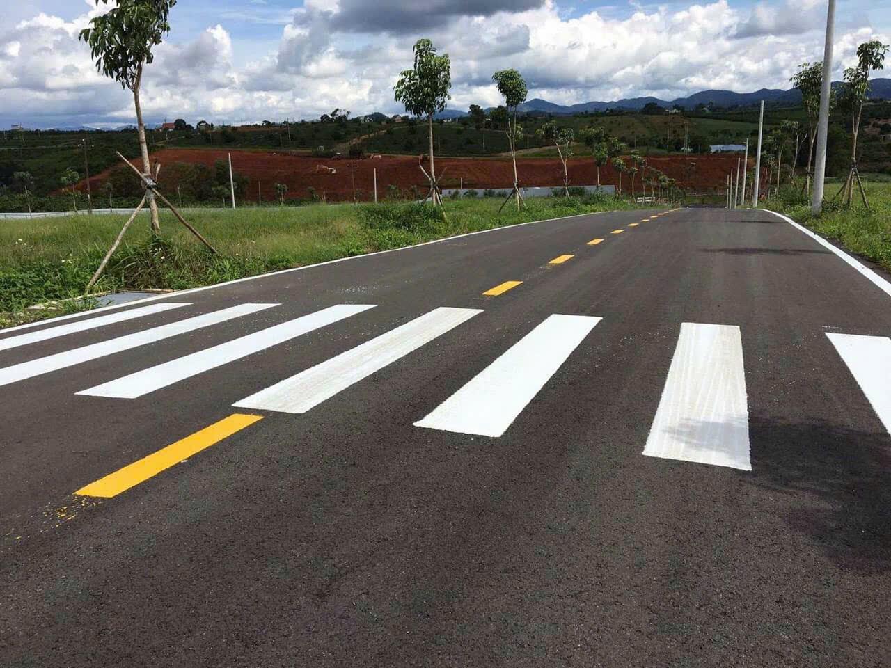 z5528266382407_eaa1dc8595bb91d76ae44860503e8d4c