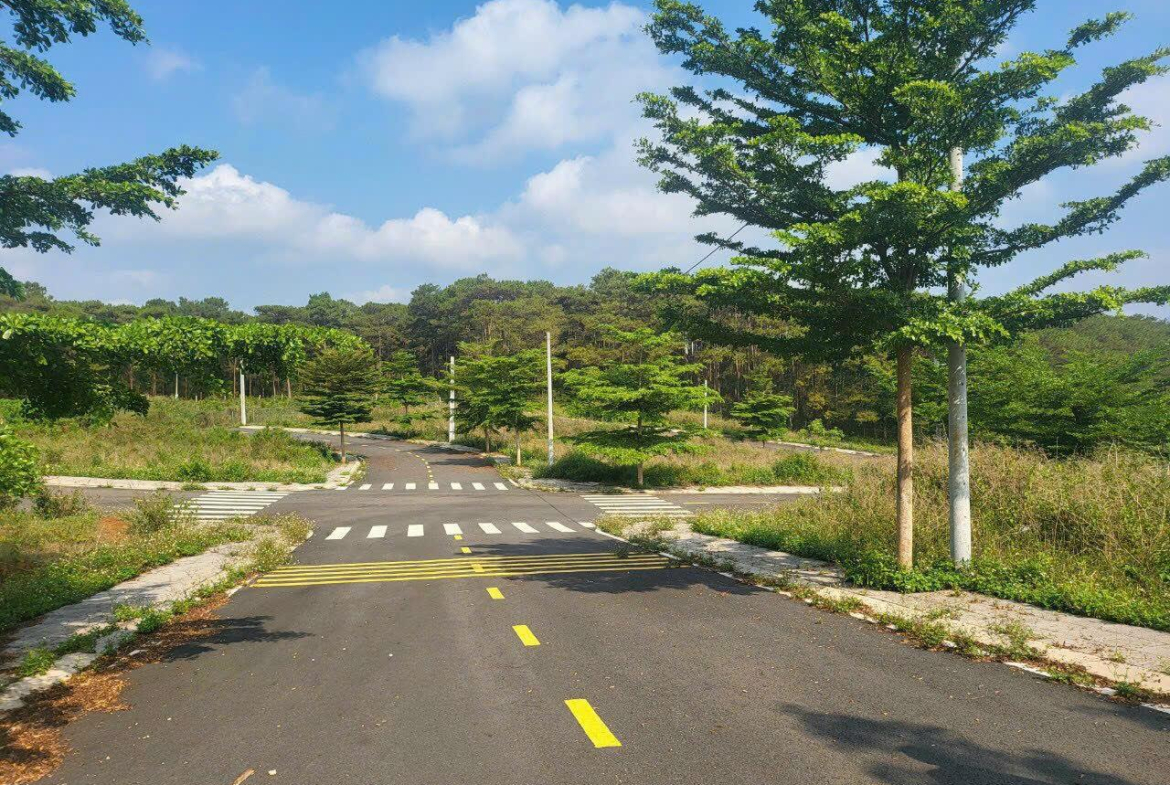 z5528266389448_89416b6938ced30bcb23e232856699d6