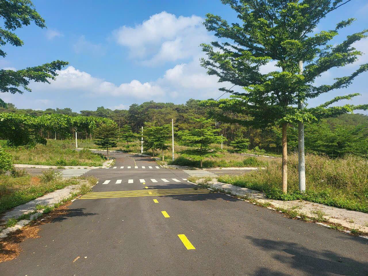 z5528266389448_89416b6938ced30bcb23e232856699d6