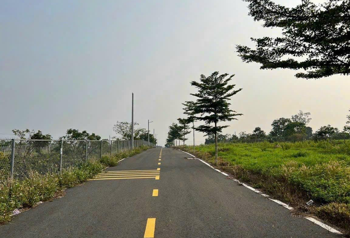 z5528266397204_e2619f9c0531554aae71910691656560