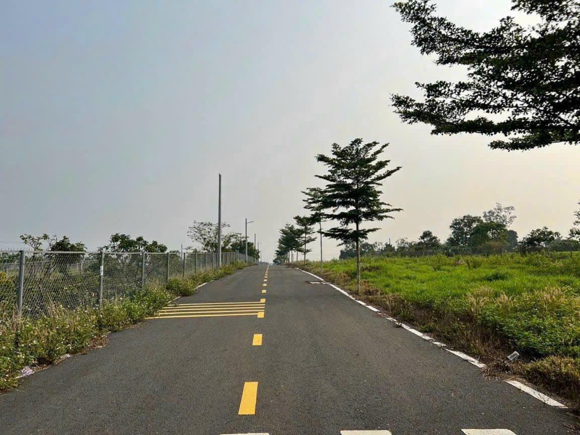 z5528266397204_e2619f9c0531554aae71910691656560