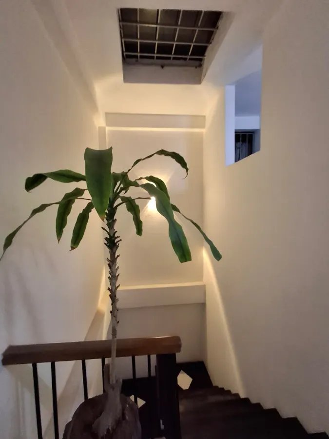 z5529485410017_bad67289a3deebfb81b06f9e3522b6c9