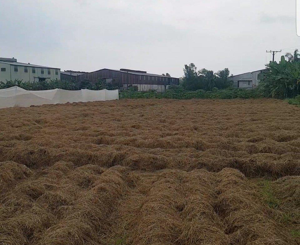 z5529653978264_e1c27bfd66ea9e6a14dd422e1f9711bb