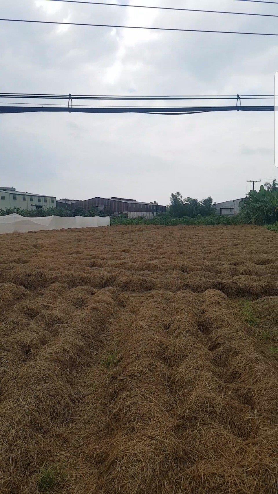 z5529653978264_e1c27bfd66ea9e6a14dd422e1f9711bb