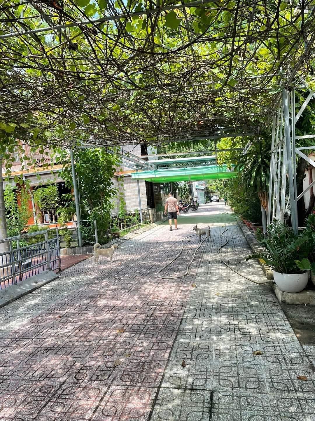 z5530457715627_3e5d67e2788de6eb14aece22ca614512