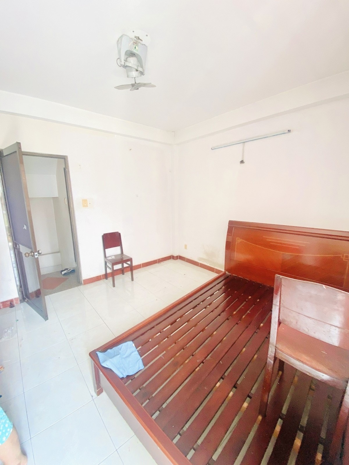 z5530720056483_ceb1203adcea9596a24125d19143897d