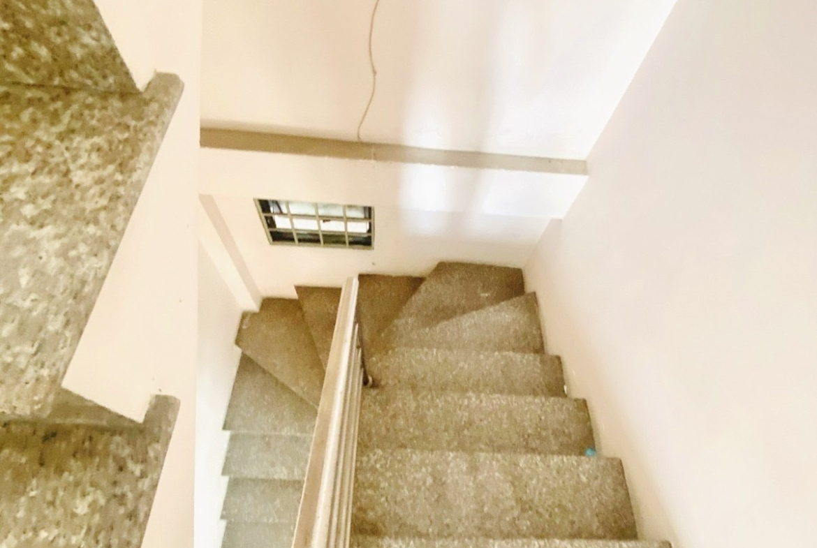 z5530720102370_3939cdb4cfe2bd284bf00f9c2c35a7a6