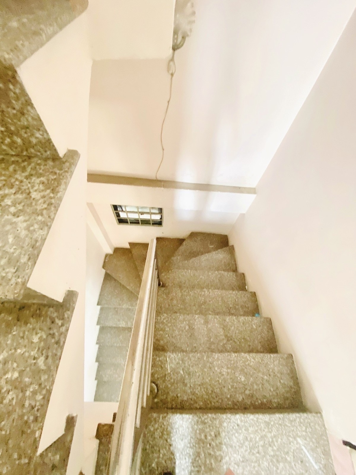 z5530720102370_3939cdb4cfe2bd284bf00f9c2c35a7a6