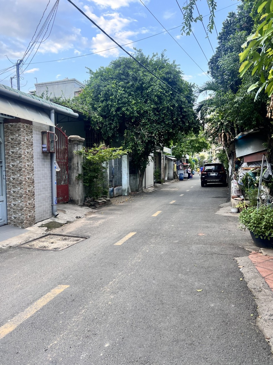 z5532929623225_33b3e6bdb11446d6b39ba16be1da3cad