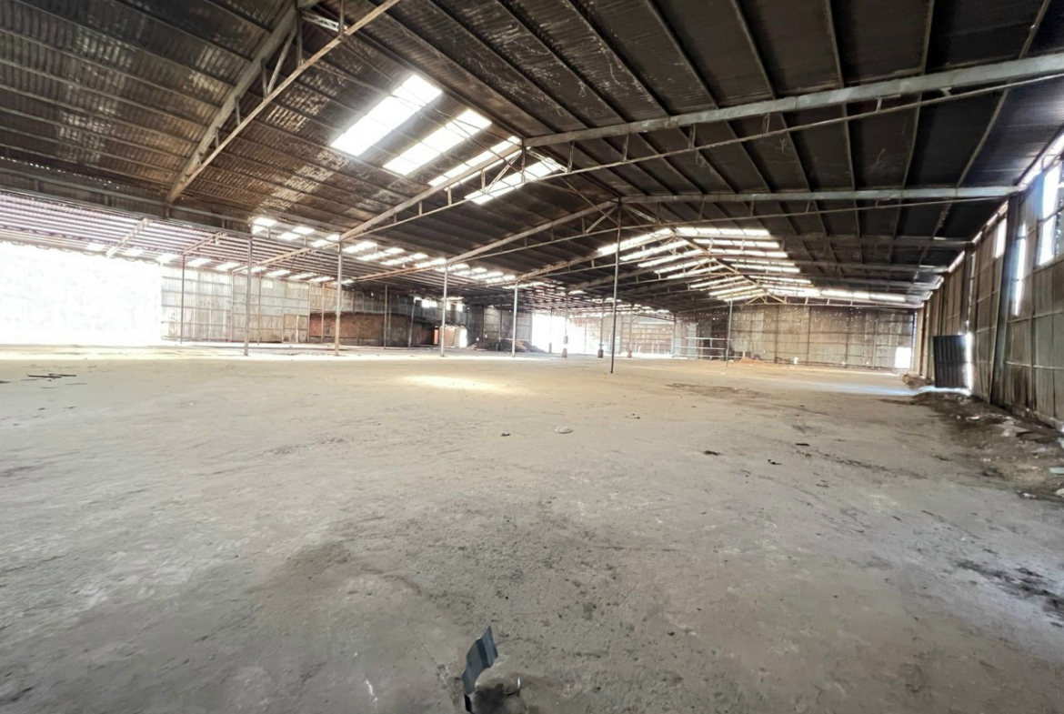 z5533108928943_a1fa50421c77a8ed1423a0ee06175b2d