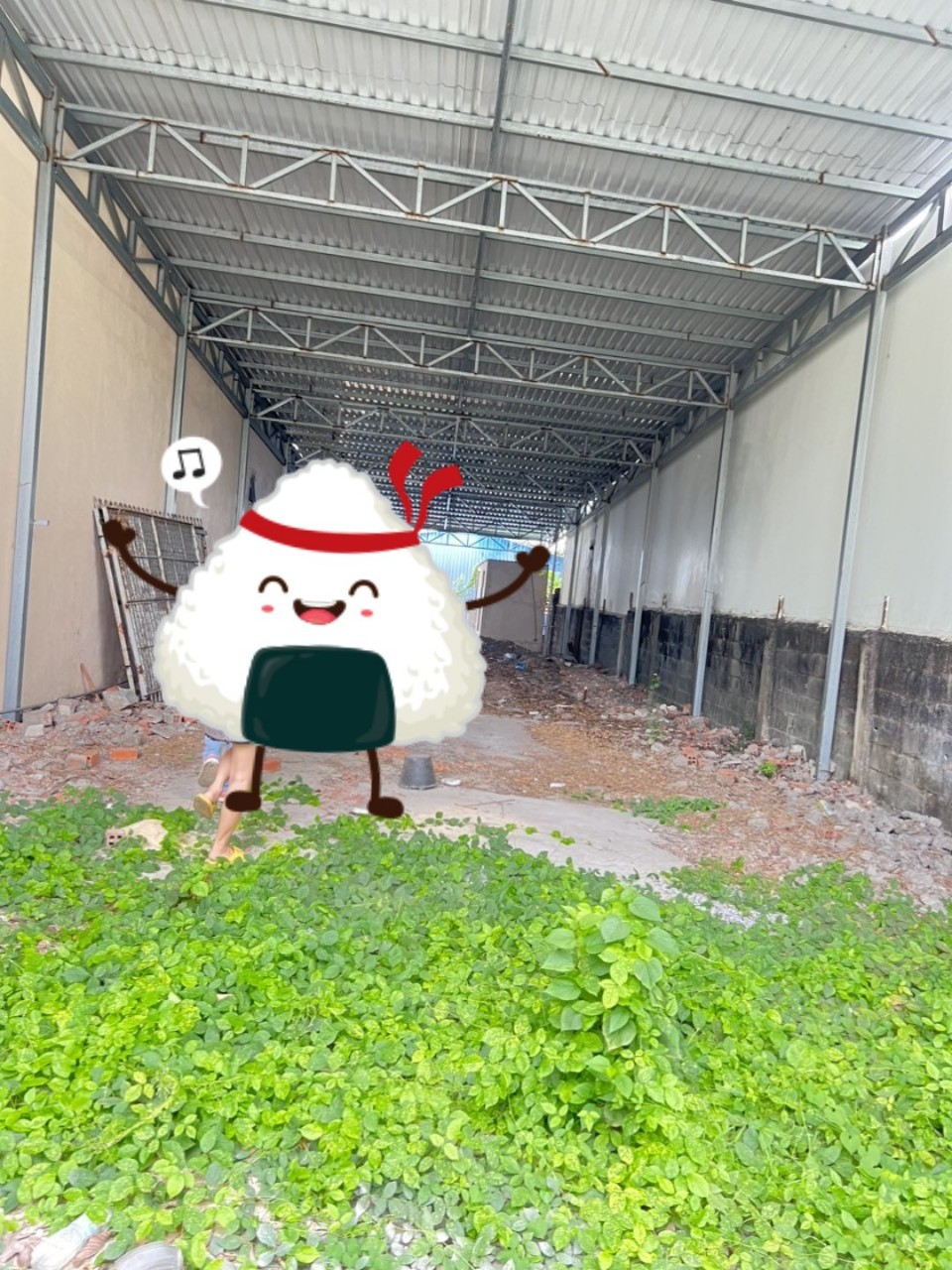 z5533113723163_0117af147dc7b7191805235eb171b5c5