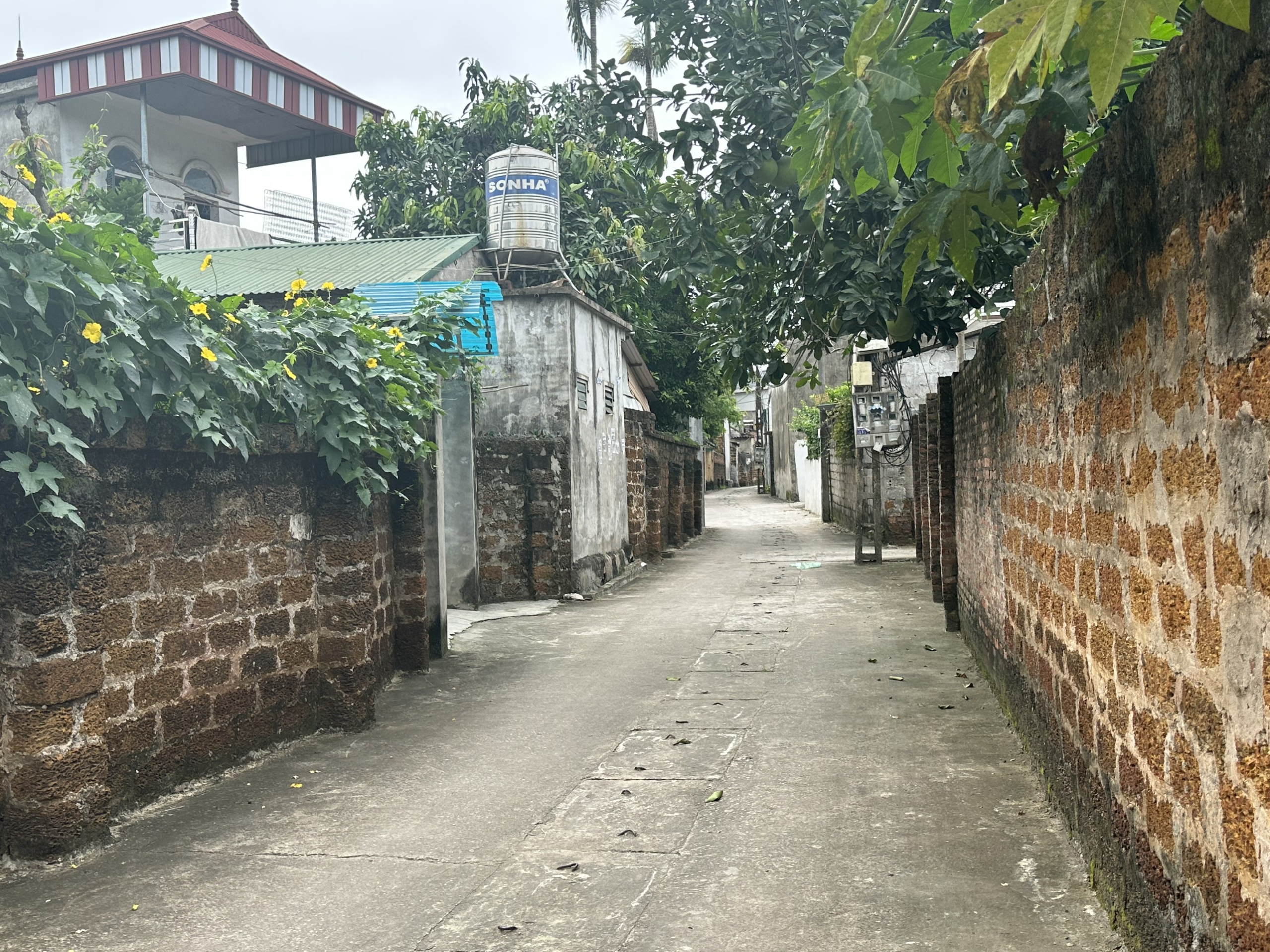 z5537089165805_28912cf446dd909d4deb8e3ce57ac8bb