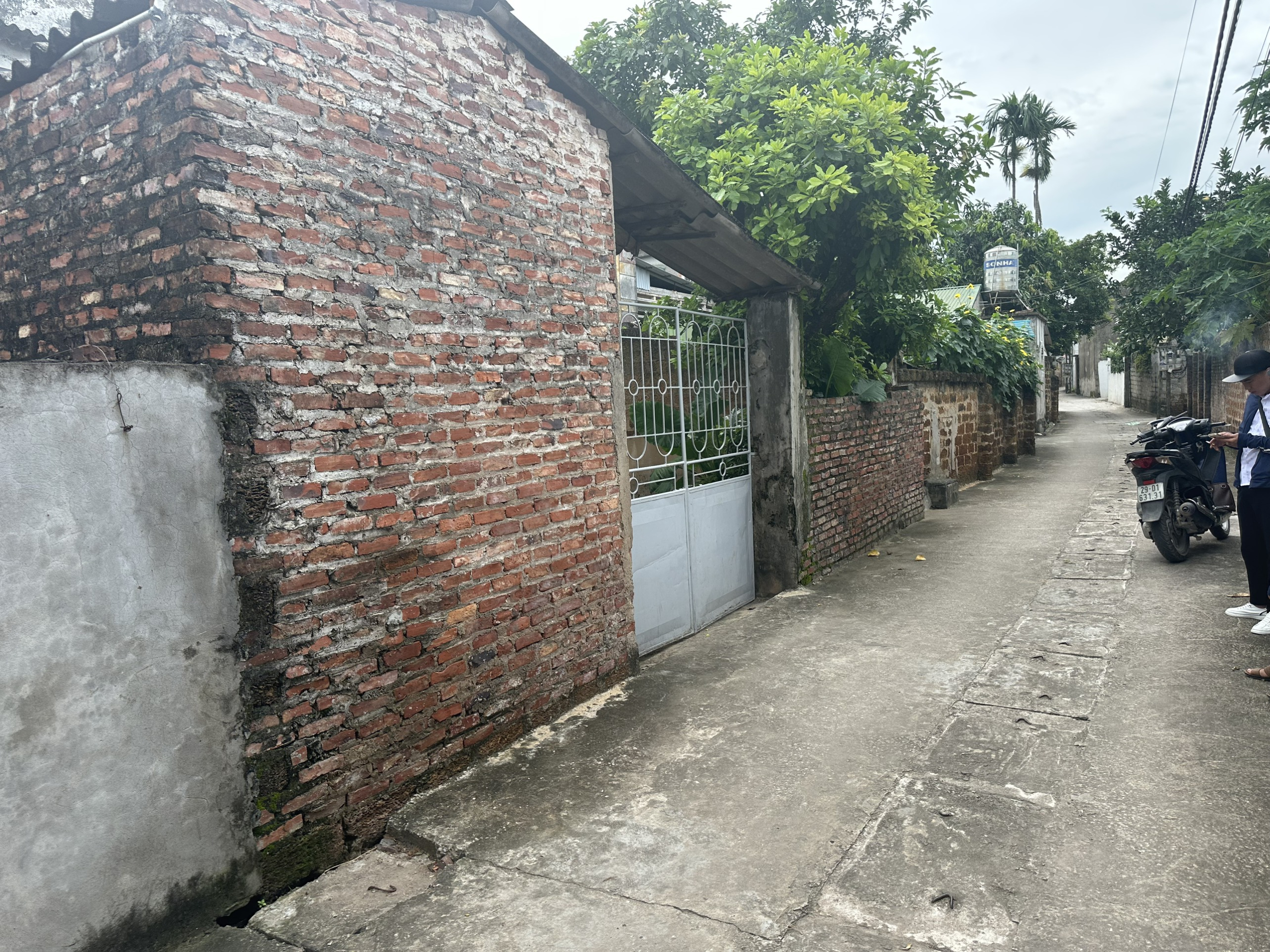 z5537089187378_dee157ac2b594825855c602a5a2cc89d