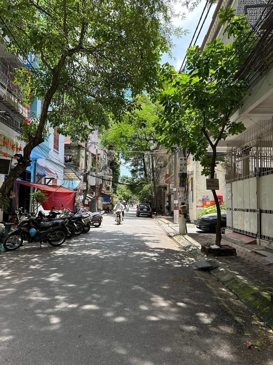 z5537896098699_e831cca74106fee4bbd8198e06374a9b