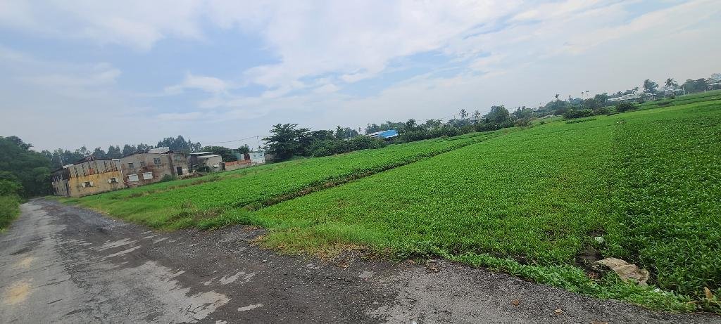 z5541544074368_9e13d80c7c887cf1e195745525192e95