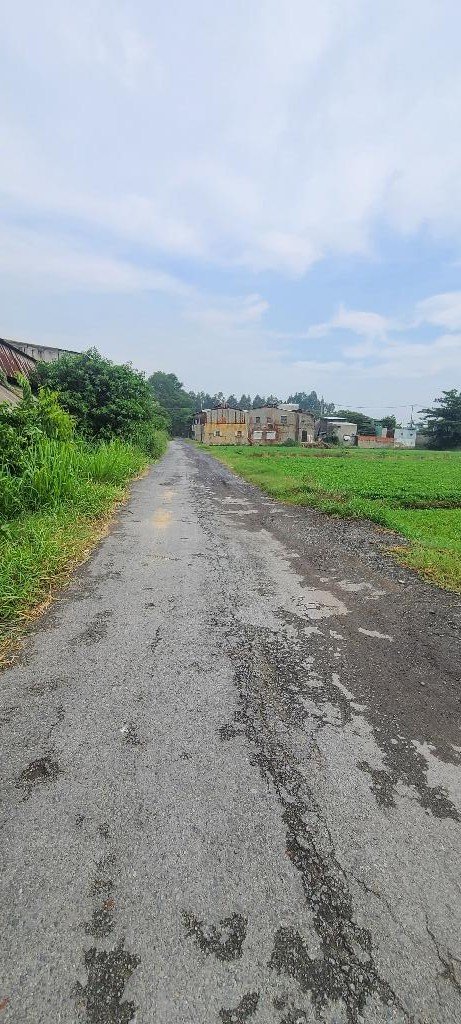 z5541544223373_ab208ecfbd0ca6681286955c73a81c43