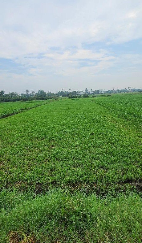 z5541544340635_82fa8399e8329d83ad90797eef8726cc