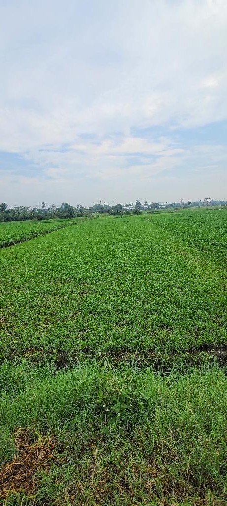 z5541544340635_82fa8399e8329d83ad90797eef8726cc