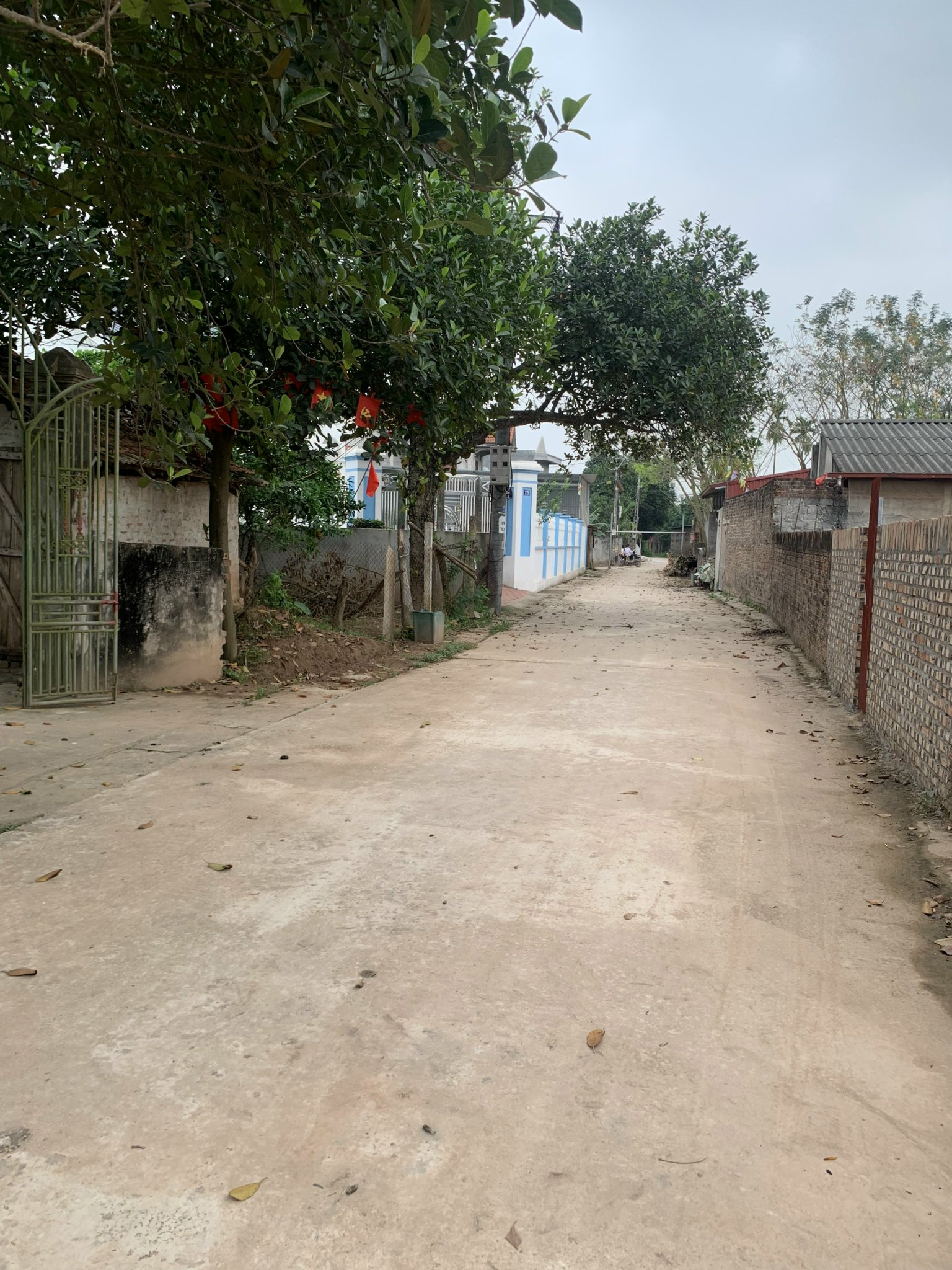 z5542935628919_045d1e53fec8844340d50b1100d9c333