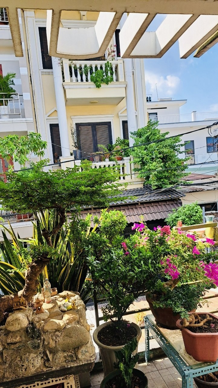 z5542937496467_15f914d361b205233b03b7712443ce50