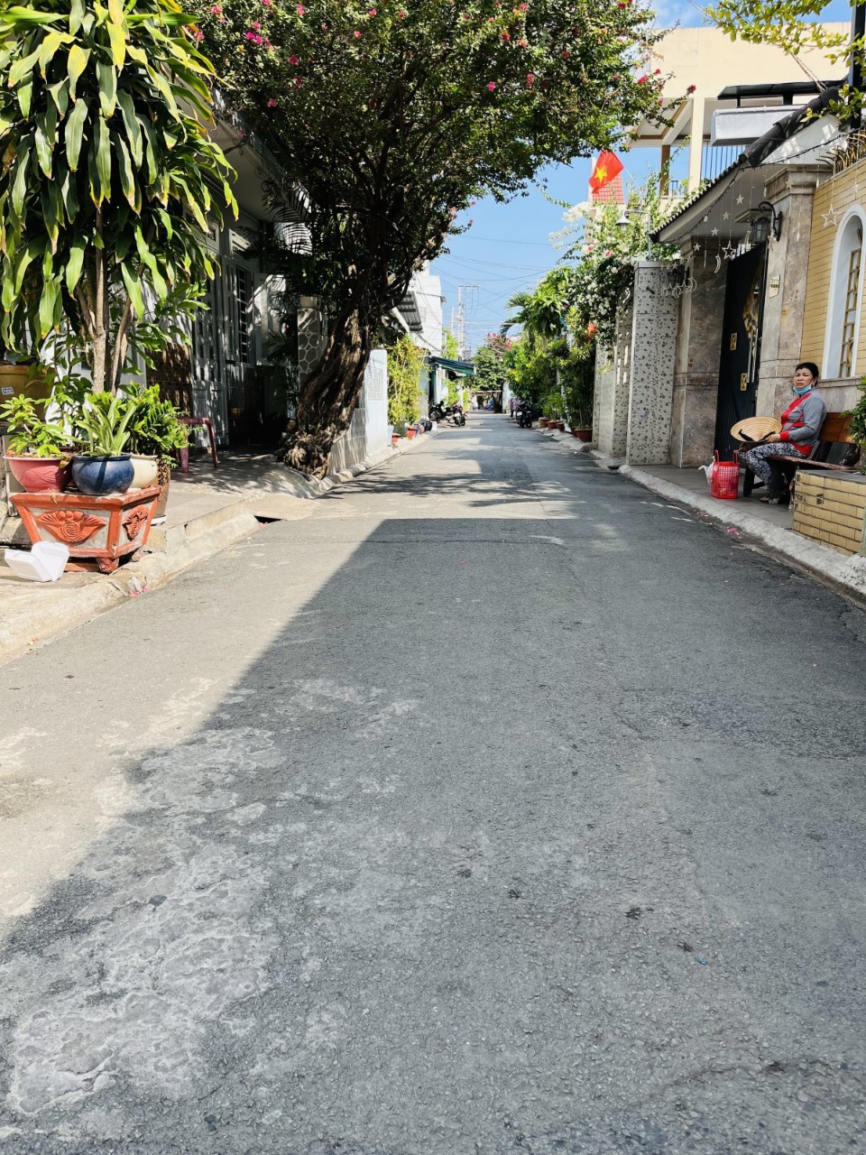 z5542937498222_70d3658411503366b2c31746f0a2be01