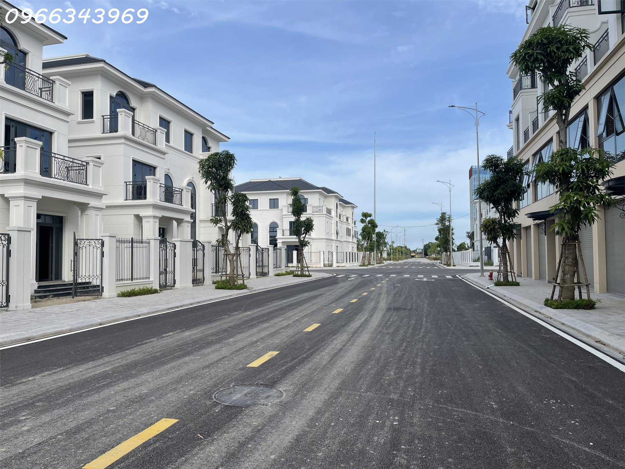 z5545924721731_50e4402c07ab752fb45fb673074187df